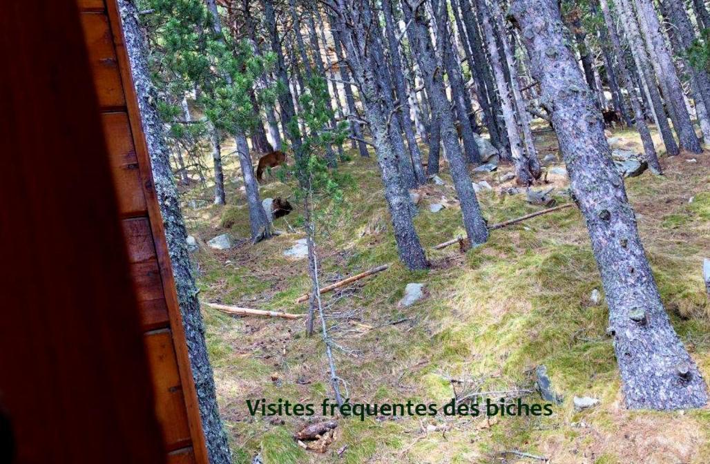 Chalet Vue Sous Cet Angles Exterior photo